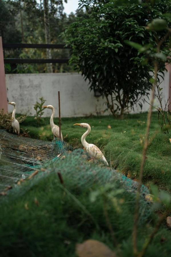 Vythiri Villas Wayanad Bagian luar foto