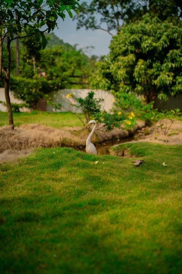Vythiri Villas Wayanad Bagian luar foto